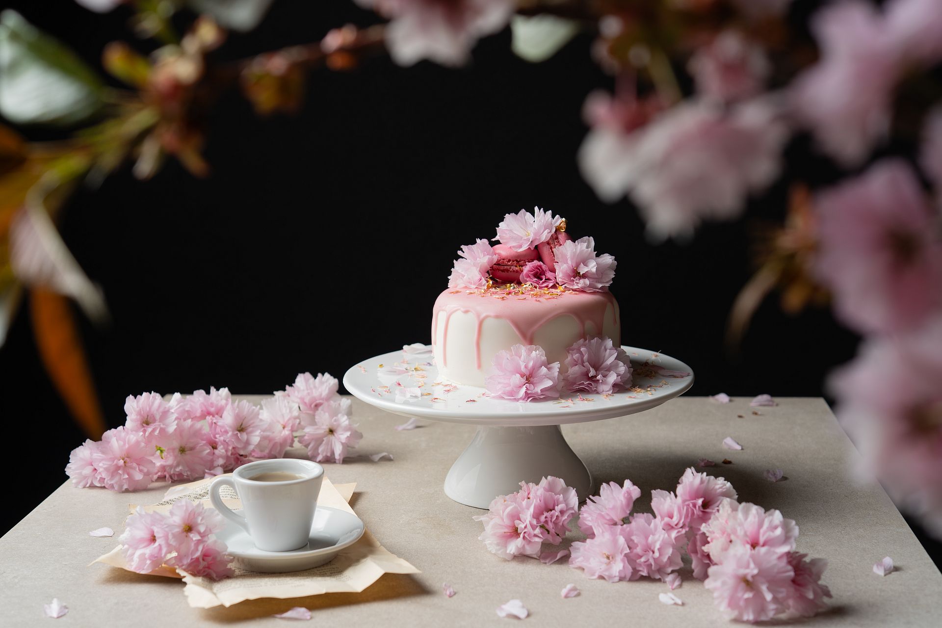 Slavnostní a narozeninové dorty